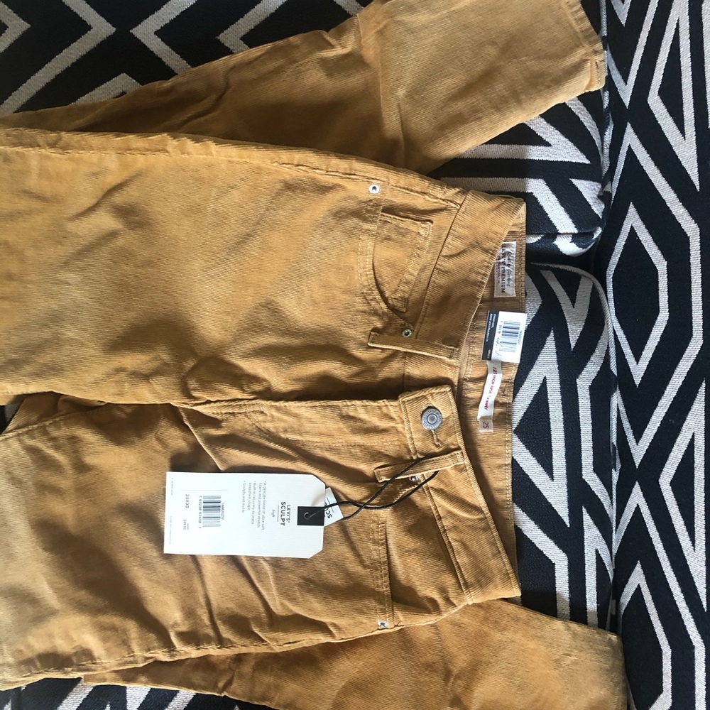 Levi’s High Rise Skinny Pants